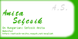 anita sefcsik business card